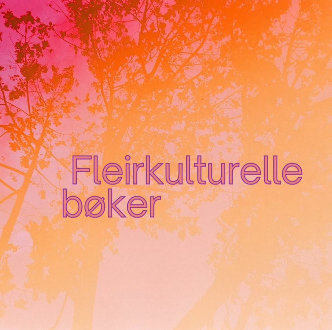 Flerkulturelle bøker